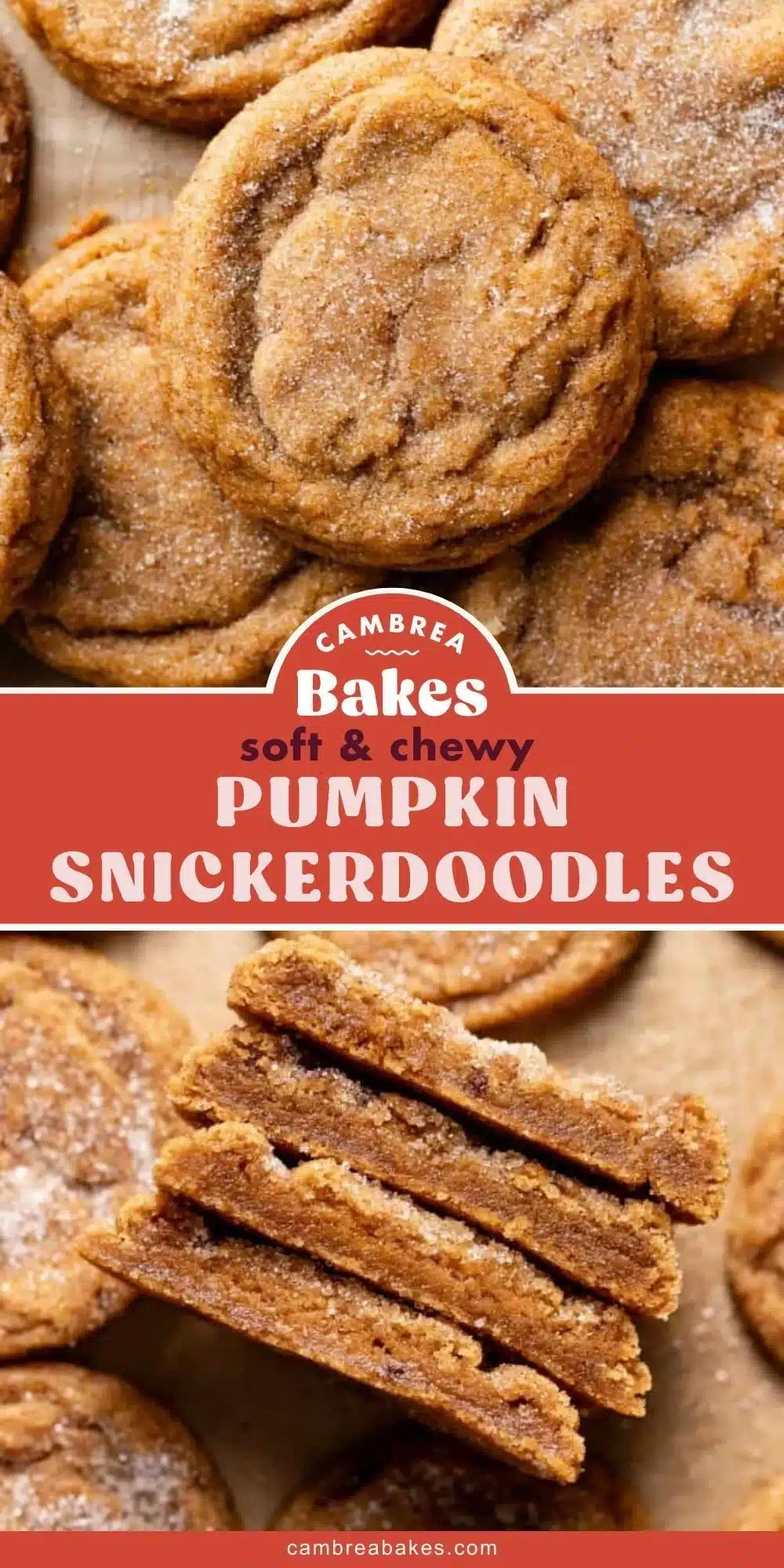 Chewy Pumpkin Snickerdoodle Cookies