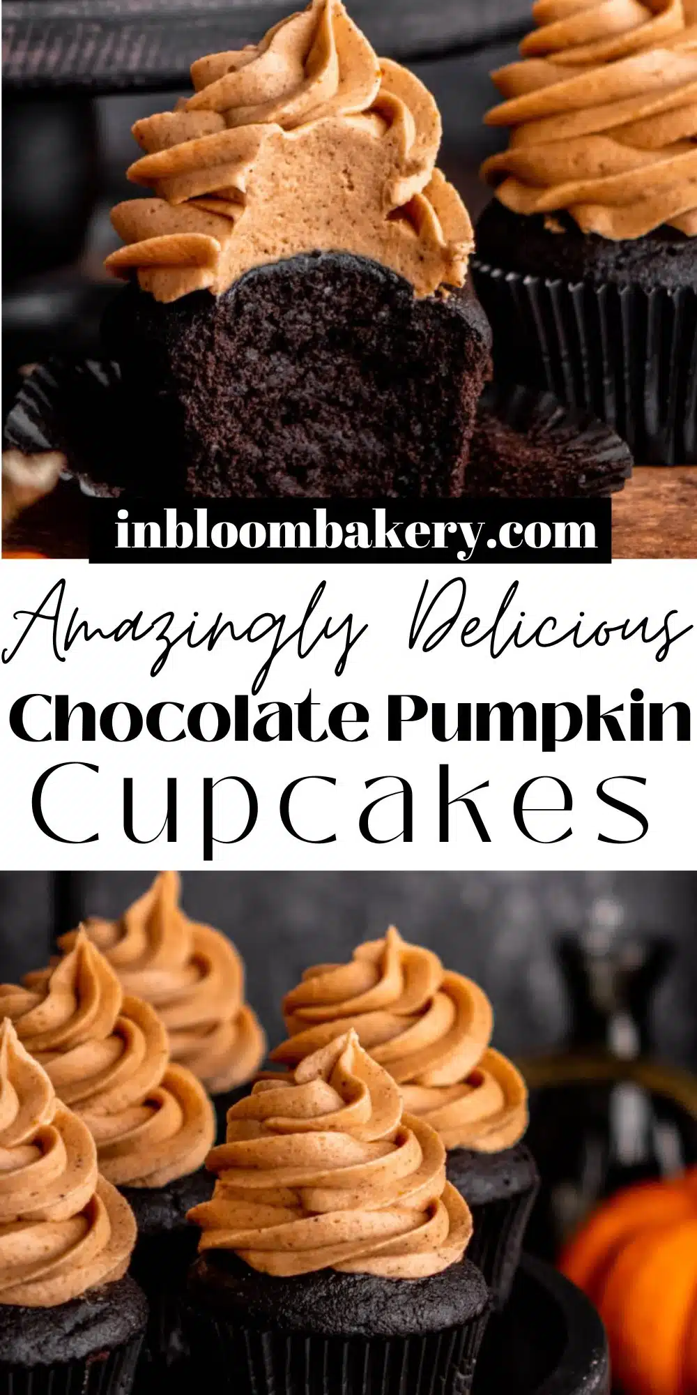 Chocolate Pumpkin Cupcakes - In Bloom Bakery